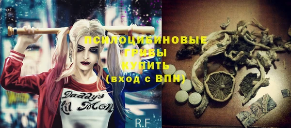 гидропоника Алзамай