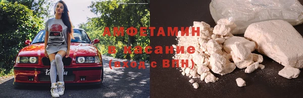 гидропоника Алзамай