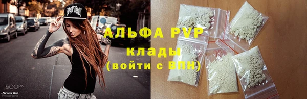 гидропоника Алзамай