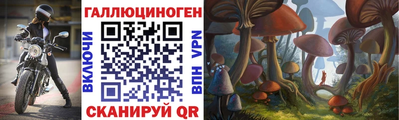 Галлюциногенные грибы Psilocybe  мориарти клад  Арамиль 